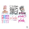 P!nk Summer Carnival PNG Pink Singer Bundle