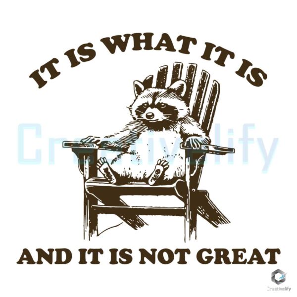 It Is What It Is And It Is Not Great Raccoon SVG