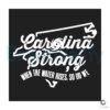 Retro Carolina Strong When The Water Rises So We Do SVG