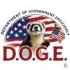 USA Flag PNG Doge Dept of Gov Efficiency Ferret