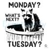 Monday Blues Whats Next Funny Raccoon Meme SVG