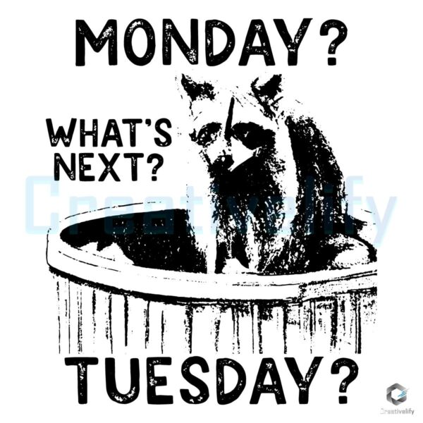 Monday Blues Whats Next Funny Raccoon Meme SVG