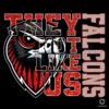 They Not Like Us Atlanta Falcons Football PNG