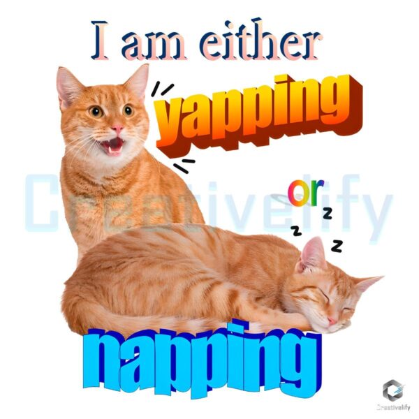 Yapping or Napping Funny Cat Meme PNG for Laughs