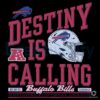 Destiny Awaits Buffalo Bills Vintage Football Helmet Logo PNG