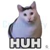 Huh Cat Meme PNG