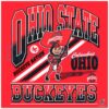 Ohio State Buckeyes Mascot Logo Buckeye Nation in PNG
