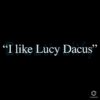 SVG Design Inspired by Lucy Dacus Fans