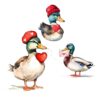 Valentine Mallard Duck Hunting Bundle Perfect PNG Designs