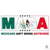 Maga Mexican Aint Going Anywhere Politics PNG