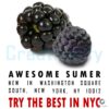Best Black Raspberry PNG Taste Summer in NYC
