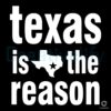 Texas Is the Reason SVG File for Cutting Printing