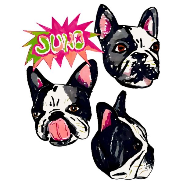 Remi Wolf Juno Dog Big Ideas Tour PNG