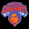 Timothee Chalamet New York Knicks PNG