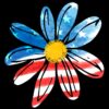 Vintage Daisy Wildflower Summer America Flag PNG