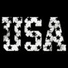 Vintage Distressed Usa God Bless America SVG