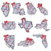 Floral Usa State 4Th Of July Coquette Patriotic PNG Bundle