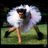 Ace Ventura Tutu Funny Meme Scene PNG
