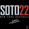 Juan Soto 22 New York Baseball Bold Number Signature Style SVG