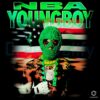 Nba Youngboy Green Mask American Flag Rap Album 2025 PNG
