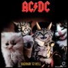 Ac Dc Cat Highway To Hell Album Parody PNG