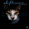 Deftones Cat Around The Fur Album Parody PNG