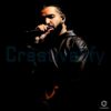 Drake Live Mic Moment In Leather Stage Portrait PNG