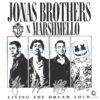 Jonas Brothers X Marshmello Living The Dream Tour PNG