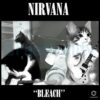 Nirvana Cat Bleach Album Parody PNG