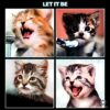 The Beatles Cat Funny Let It Be Parody PNG