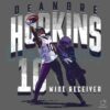 Deandre Hopkins Baltimore One Handed Catch PNG